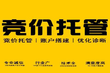 成功SEM托管案例解析